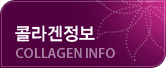 콜라겐정보